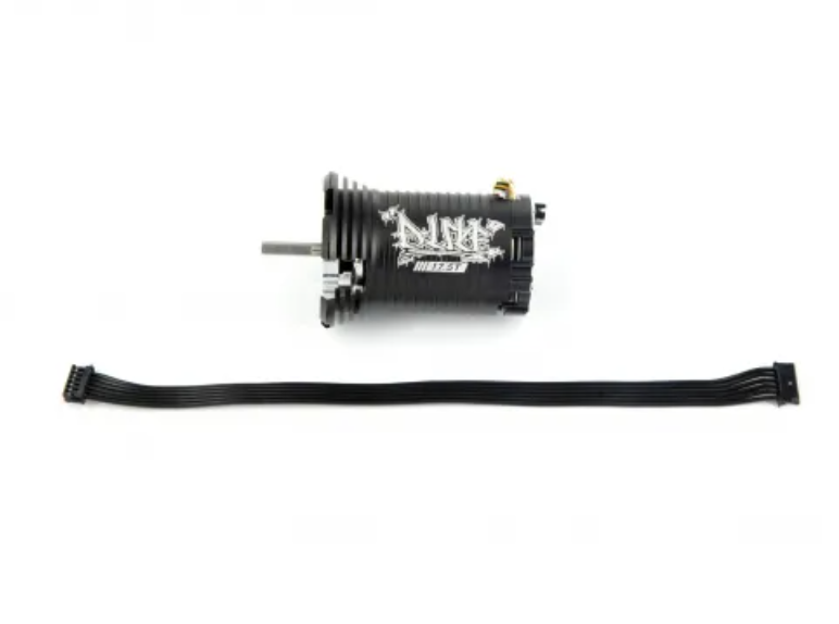 D-Like】DL419−2 RWD専用 Real Dri MOTOR NA 4A-G【17.5T